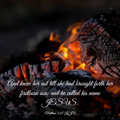 Picture 03 - Matthew 1:25 KJV - And knew her not till she had brought forth her - Bible Verse Picture