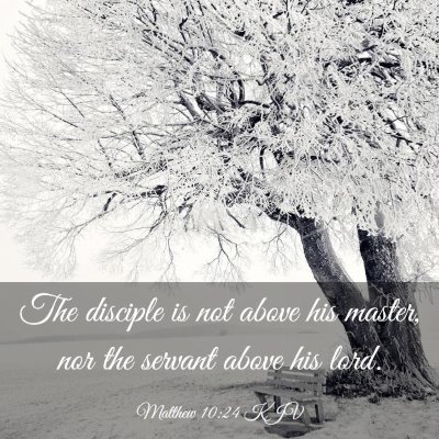 Picture 03 - Matthew 10:24 KJV - The disciple is not above his master, nor the - Bible Verse Picture