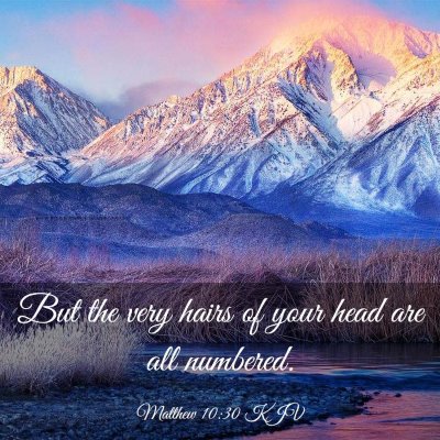 Picture 03 - Matthew 10:30 KJV - But the very hairs of your head are all - Bible Verse Picture