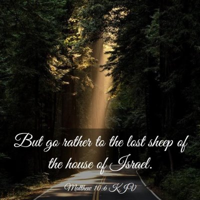 Picture 03 - Matthew 10:6 KJV - But go rather to the lost sheep of the house of - Bible Verse Picture