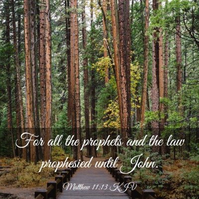 Picture 03 - Matthew 11:13 KJV - For all the prophets and the law prophesied until - Bible Verse Picture