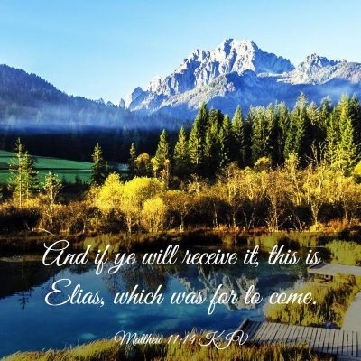 Picture 03 - Matthew 11:14 KJV - And if ye will receive it, this is Elias, which - Bible Verse Picture