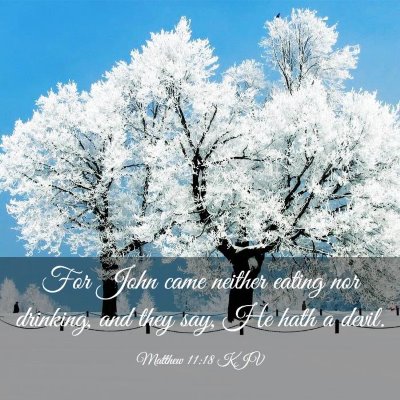 Picture 03 - Matthew 11:18 KJV - For John came neither eating nor drinking, and - Bible Verse Picture