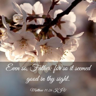 Picture 03 - Matthew 11:26 KJV - Even so, Father: for so it seemed good in thy - Bible Verse Picture