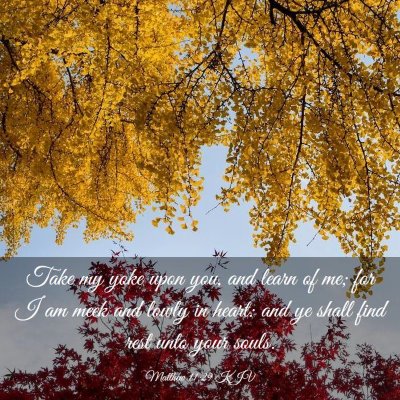 Picture 03 - Matthew 11:29 KJV - Take my yoke upon you, and learn of me; for I am - Bible Verse Picture