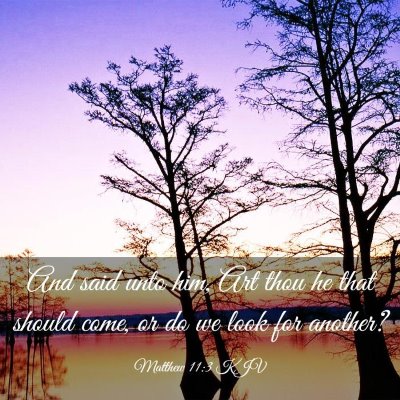 Picture 03 - Matthew 11:3 KJV - And said unto him, Art thou he that should come, - Bible Verse Picture