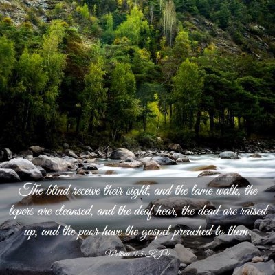 Picture 03 - Matthew 11:5 KJV - The blind receive their sight, and the lame walk, - Bible Verse Picture