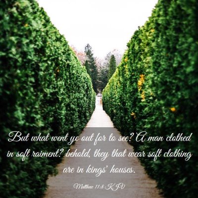 Picture 03 - Matthew 11:8 KJV - But what went ye out for to see? A man clothed in - Bible Verse Picture