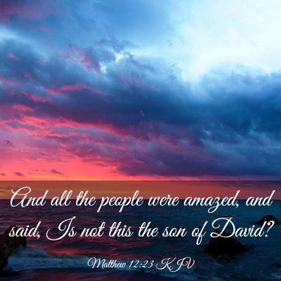 Picture 03 - Matthew 12:23 KJV - And all the people were amazed, and said, Is not - Bible Verse Picture