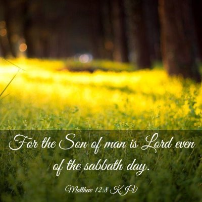 Picture 03 - Matthew 12:8 KJV - For the Son of man is Lord even of the sabbath - Bible Verse Picture
