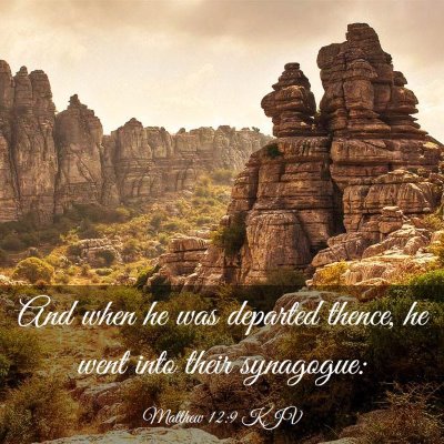 Picture 03 - Matthew 12:9 KJV - And when he was departed thence, he went into - Bible Verse Picture