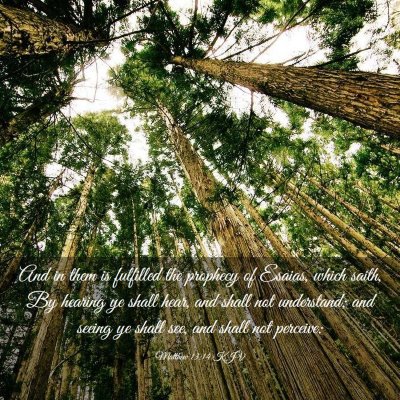Picture 03 - Matthew 13:14 KJV - And in them is fulfilled the prophecy of Esaias, - Bible Verse Picture