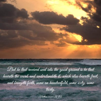 Picture 03 - Matthew 13:23 KJV - But he that received seed into the good ground is - Bible Verse Picture