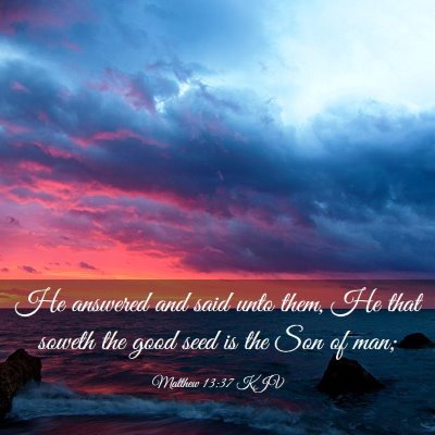 Picture 03 - Matthew 13:37 KJV - He answered and said unto them, He that soweth - Bible Verse Picture