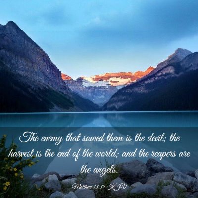 Picture 03 - Matthew 13:39 KJV - The enemy that sowed them is the devil; the - Bible Verse Picture