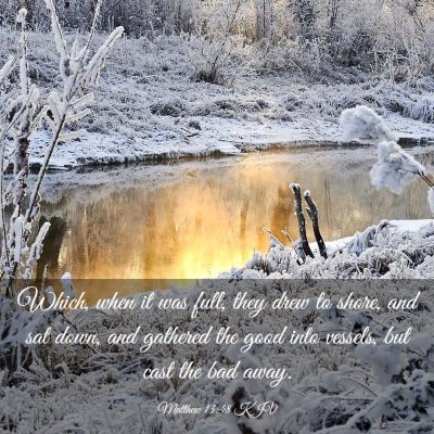 Picture 03 - Matthew 13:48 KJV - Which, when it was full, they drew to shore, and - Bible Verse Picture