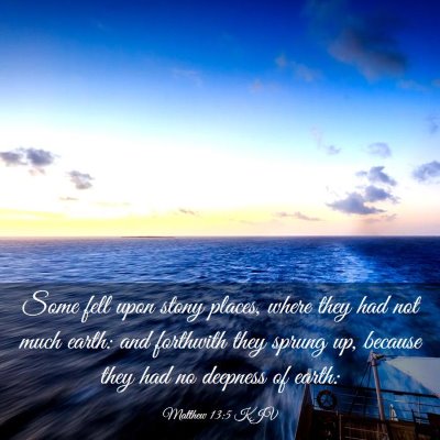 Picture 03 - Matthew 13:5 KJV - Some fell upon stony places, where they had not - Bible Verse Picture