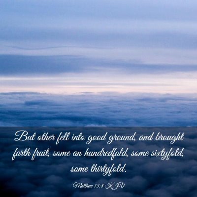 Picture 03 - Matthew 13:8 KJV - But other fell into good ground, and brought - Bible Verse Picture