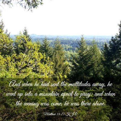 Picture 03 - Matthew 14:23 KJV - And when he had sent the multitudes away, he went - Bible Verse Picture