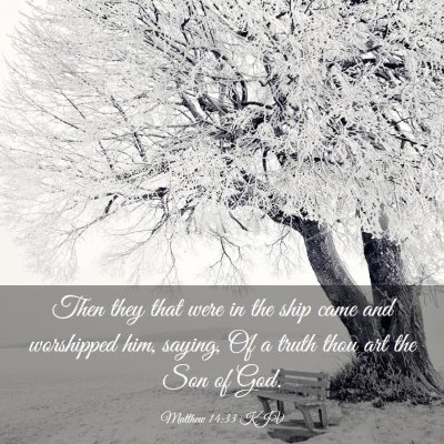 Picture 03 - Matthew 14:33 KJV - Then they that were in the ship came and - Bible Verse Picture