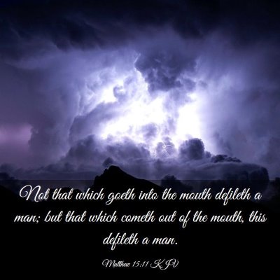 Picture 03 - Matthew 15:11 KJV - Not that which goeth into the mouth defileth a - Bible Verse Picture