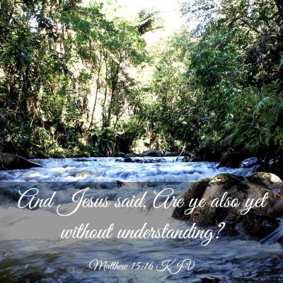 Picture 03 - Matthew 15:16 KJV - And Jesus said, Are ye also yet without - Bible Verse Picture