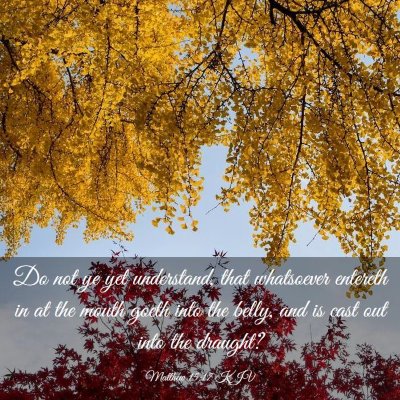 Picture 03 - Matthew 15:17 KJV - Do not ye yet understand, that whatsoever - Bible Verse Picture