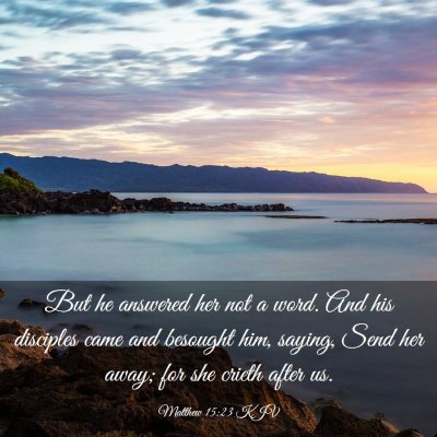 Picture 03 - Matthew 15:23 KJV - But he answered her not a word. And his disciples - Bible Verse Picture