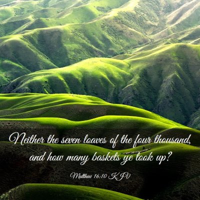 Picture 03 - Matthew 16:10 KJV - Neither the seven loaves of the four thousand, - Bible Verse Picture