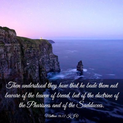 Picture 03 - Matthew 16:12 KJV - Then understood they how that he bade them not - Bible Verse Picture