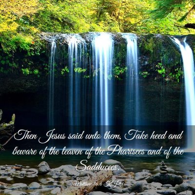 Picture 03 - Matthew 16:6 KJV - Then Jesus said unto them, Take heed and beware - Bible Verse Picture