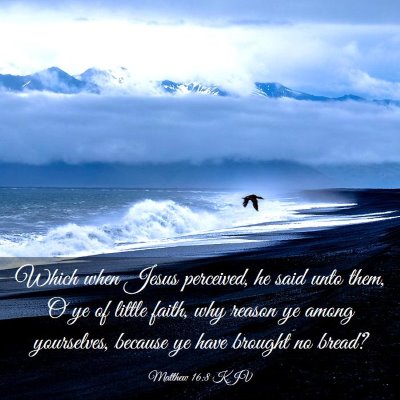 Picture 03 - Matthew 16:8 KJV - Which when Jesus perceived, he said unto them, O - Bible Verse Picture