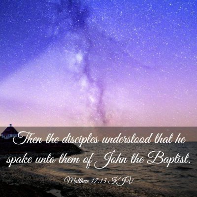 Picture 03 - Matthew 17:13 KJV - Then the disciples understood that he spake unto - Bible Verse Picture