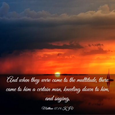 Picture 03 - Matthew 17:14 KJV - And when they were come to the multitude, there - Bible Verse Picture