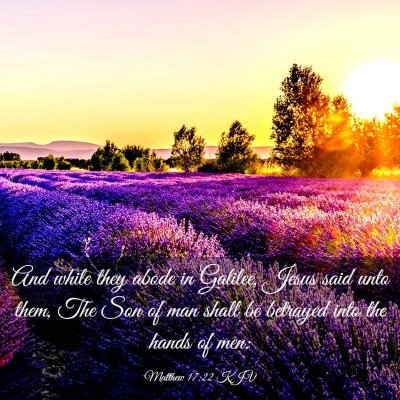 Picture 03 - Matthew 17:22 KJV - And while they abode in Galilee, Jesus said unto - Bible Verse Picture