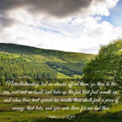 Picture 03 - Matthew 17:27 KJV - Notwithstanding, lest we should offend them, go - Bible Verse Picture
