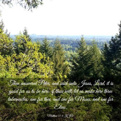 Picture 03 - Matthew 17:4 KJV - Then answered Peter, and said unto Jesus, Lord, - Bible Verse Picture