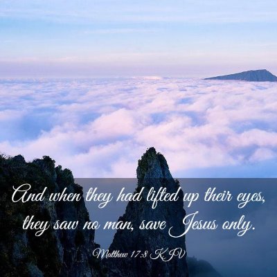 Picture 03 - Matthew 17:8 KJV - And when they had lifted up their eyes, they saw - Bible Verse Picture
