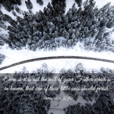 Picture 03 - Matthew 18:14 KJV - Even so it is not the will of your Father which - Bible Verse Picture