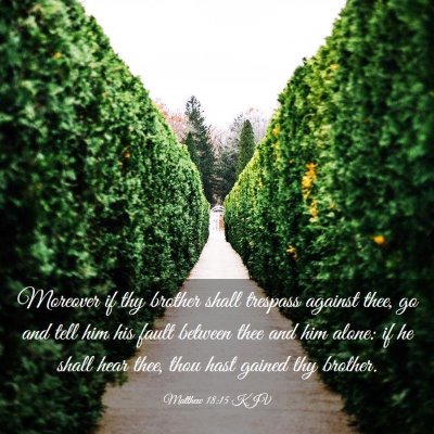 Picture 03 - Matthew 18:15 KJV - Moreover if thy brother shall trespass against - Bible Verse Picture