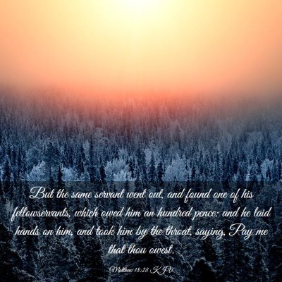 Picture 03 - Matthew 18:28 KJV - But the same servant went out, and found one of - Bible Verse Picture