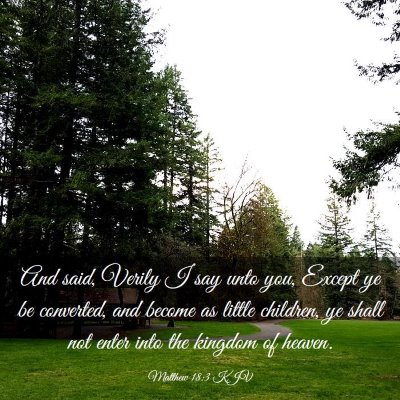 Picture 03 - Matthew 18:3 KJV - And said, Verily I say unto you, Except ye be - Bible Verse Picture