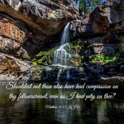 Picture 03 - Matthew 18:33 KJV - Shouldest not thou also have had compassion on - Bible Verse Picture
