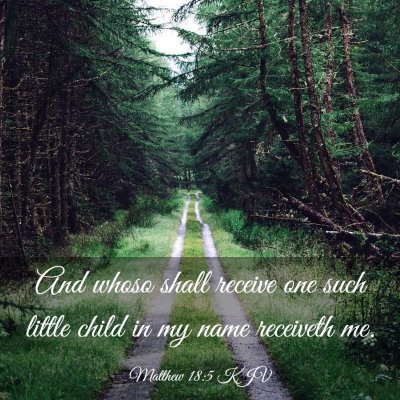 Picture 03 - Matthew 18:5 KJV - And whoso shall receive one such little child in - Bible Verse Picture