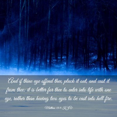 Picture 03 - Matthew 18:9 KJV - And if thine eye offend thee, pluck it out, and - Bible Verse Picture