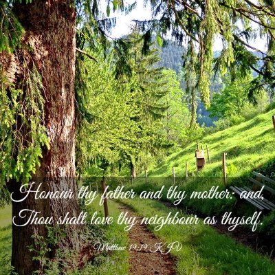 Picture 03 - Matthew 19:19 KJV - Honour thy father and thy mother: and, Thou shalt - Bible Verse Picture