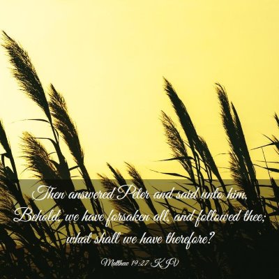 Picture 03 - Matthew 19:27 KJV - Then answered Peter and said unto him, Behold, we - Bible Verse Picture