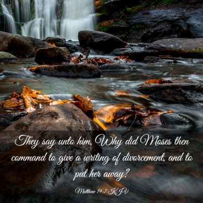 Picture 03 - Matthew 19:7 KJV - They say unto him, Why did Moses then command to - Bible Verse Picture