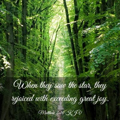 Picture 03 - Matthew 2:10 KJV - When they saw the star, they rejoiced with - Bible Verse Picture