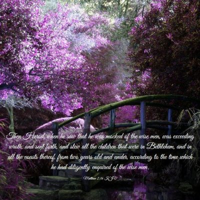 Picture 03 - Matthew 2:16 KJV - Then Herod, when he saw that he was mocked of the - Bible Verse Picture